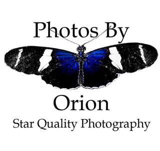 Photos by Orion